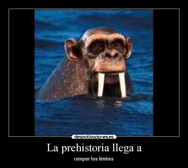 La prehistoria llega a -