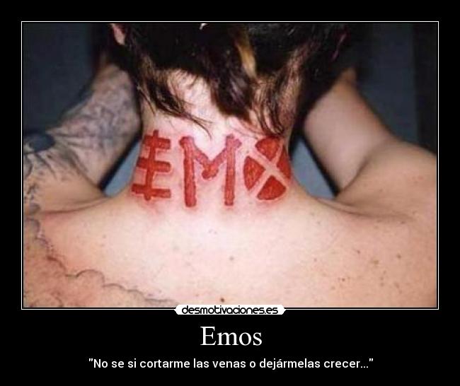 carteles frases desmotivaciones