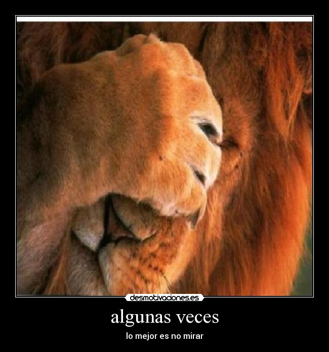 algunas veces - lo mejor es no mirar