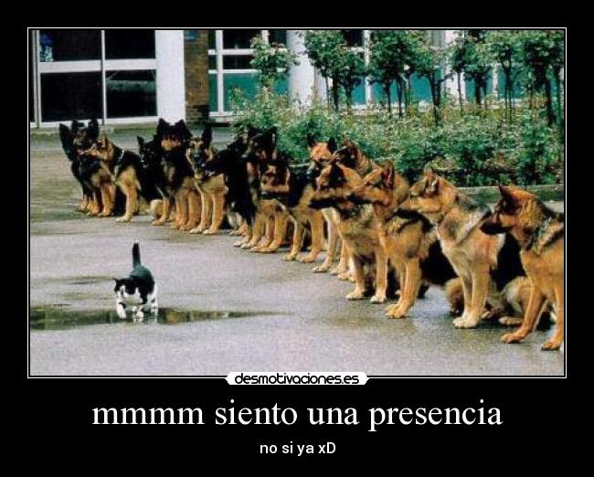 mmmm siento una presencia - no si ya xD