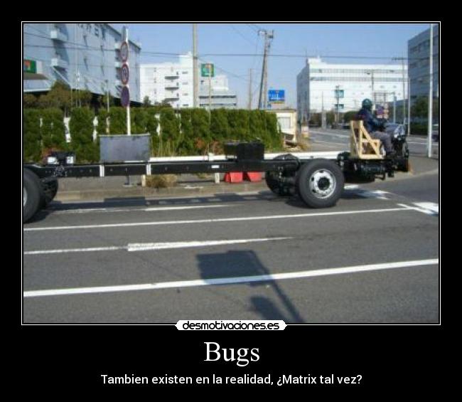 Bugs - Tambien existen en la realidad, ¿Matrix tal vez?