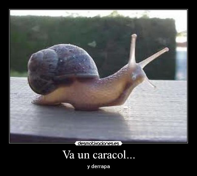 Va un caracol... - y derrapa