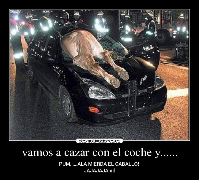 vamos a cazar con el coche y...... - 