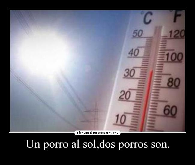 Un porro al sol,dos porros son. -