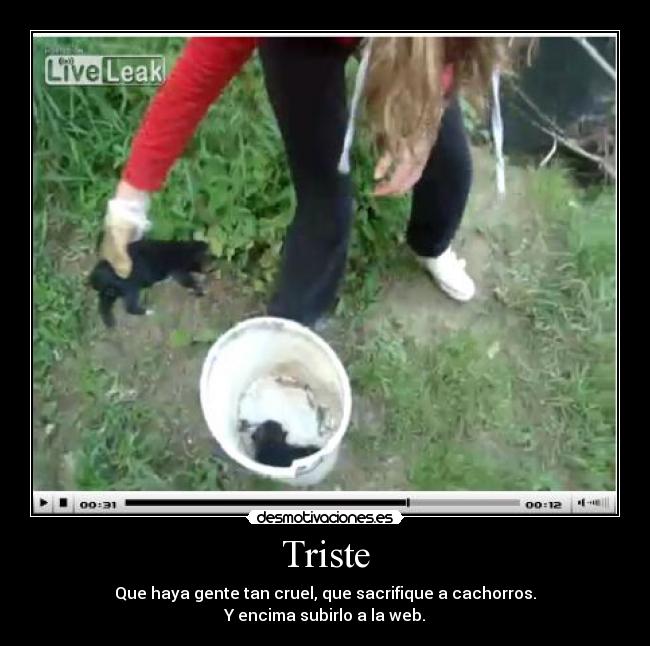 carteles perros desmotivaciones