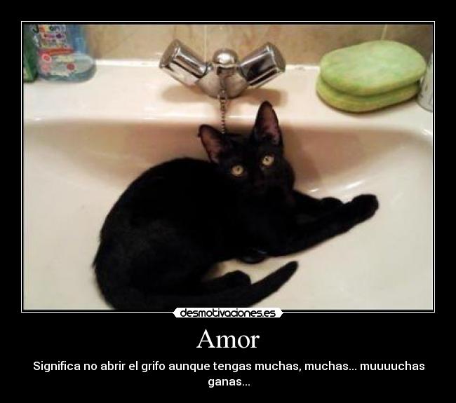 Amor - Significa no abrir el grifo aunque tengas muchas, muchas... muuuuchas ganas...