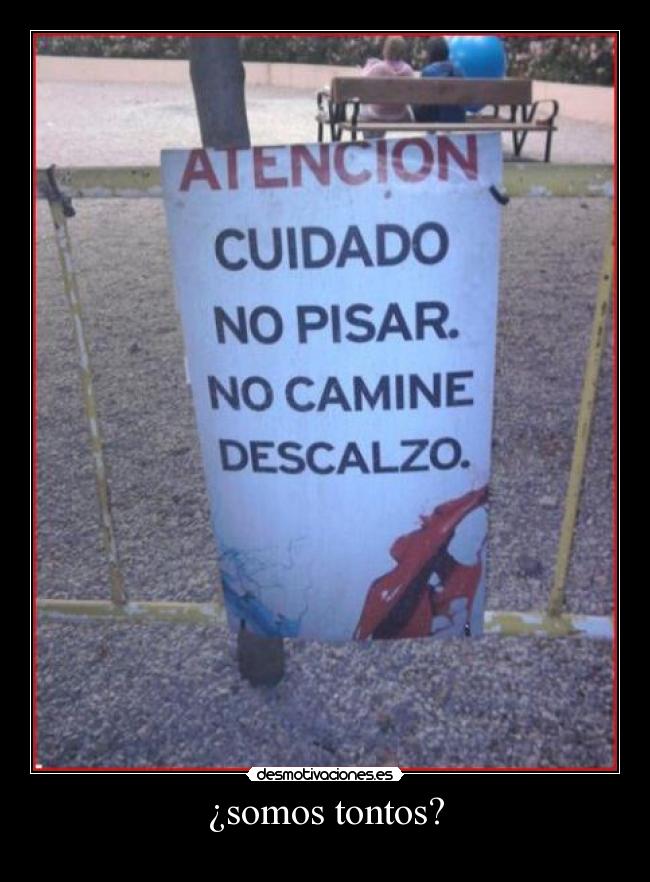¿somos tontos? - 