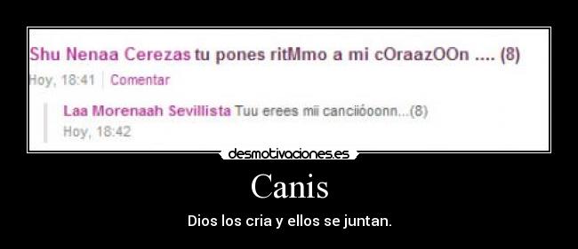 Canis - Dios los cria y ellos se juntan.