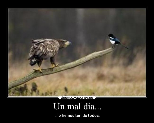 carteles desmotivacion mal dia desmotivaciones