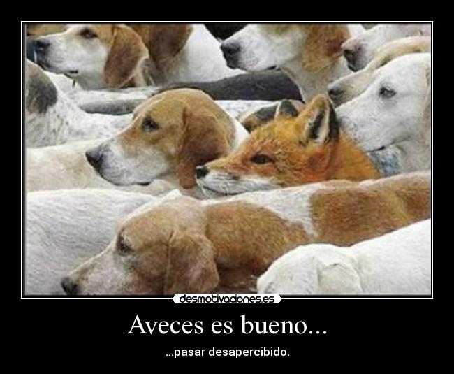 Aveces es bueno... - ...pasar desapercibido.