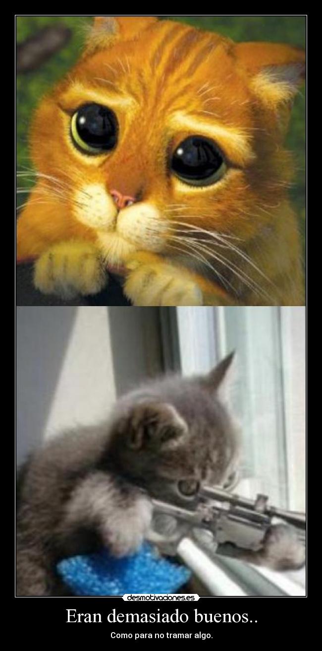 Eran demasiado buenos.. -