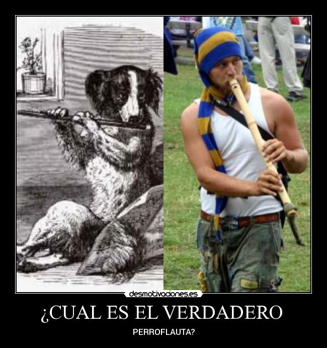 ¿CUAL ES EL VERDADERO -
