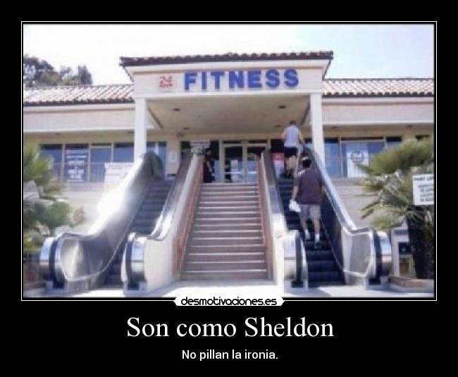 Son como Sheldon - No pillan la ironia.