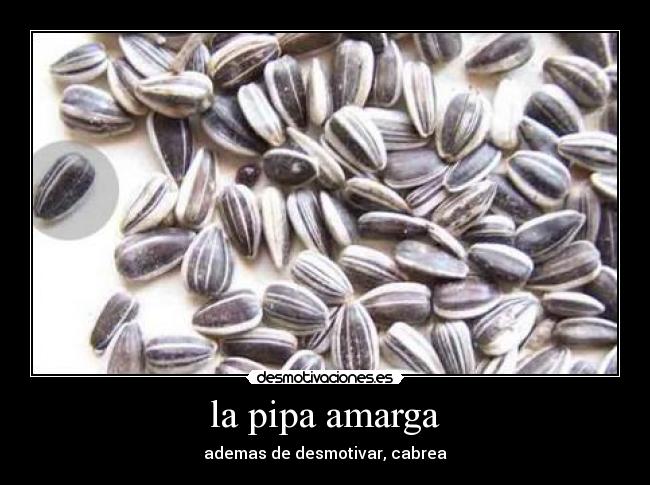 la pipa amarga - ademas de desmotivar, cabrea