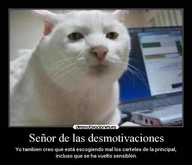 carteles desmotivaciones desmotivaciones desmotivaciones