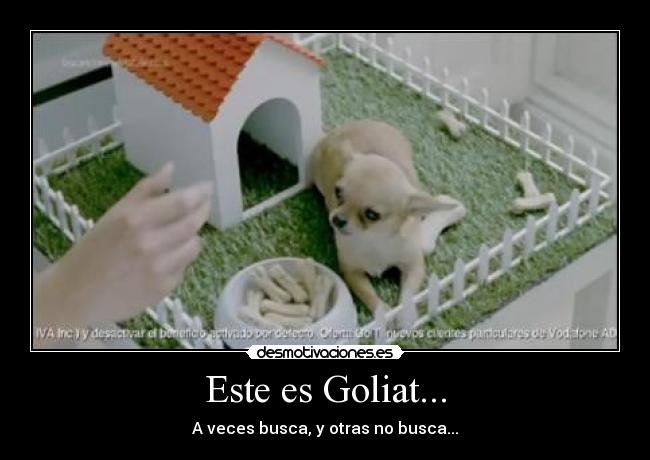 Este es Goliat... -