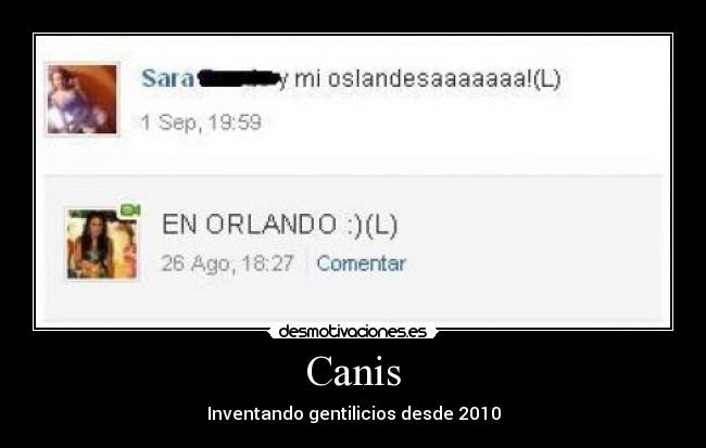 Canis - 