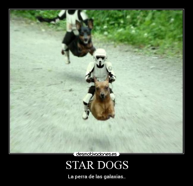 carteles flying dogs desmotivaciones