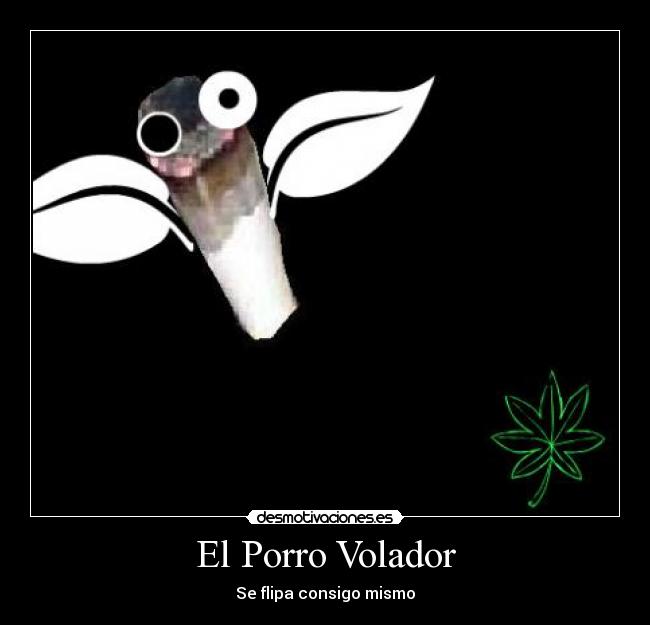 El Porro Volador - Se flipa consigo mismo