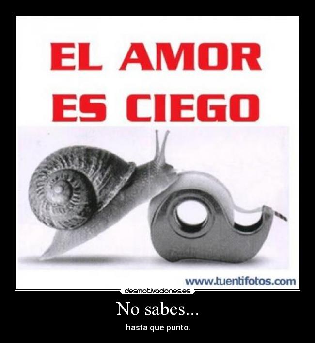 carteles caracoles amor desmotivaciones