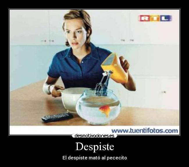 Despiste - El despiste mató al pececito