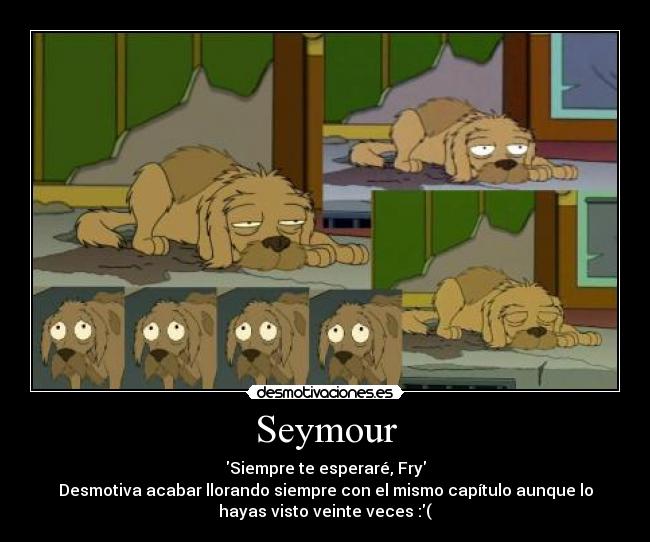 Seymour - Siempre te esperaré, Fry
Desmotiva acabar llorando siempre con el mismo capítulo aunque lo
hayas visto veinte veces :(