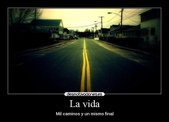 carteles vida vida filosifia wallpaper camino desmotivaciones