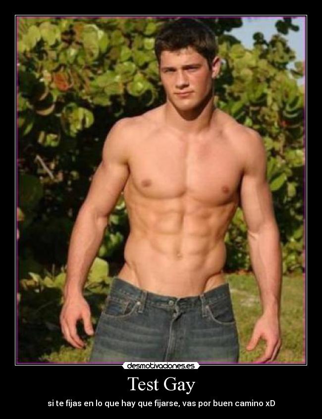carteles testgayheterosexualalgusafilms desmotivaciones