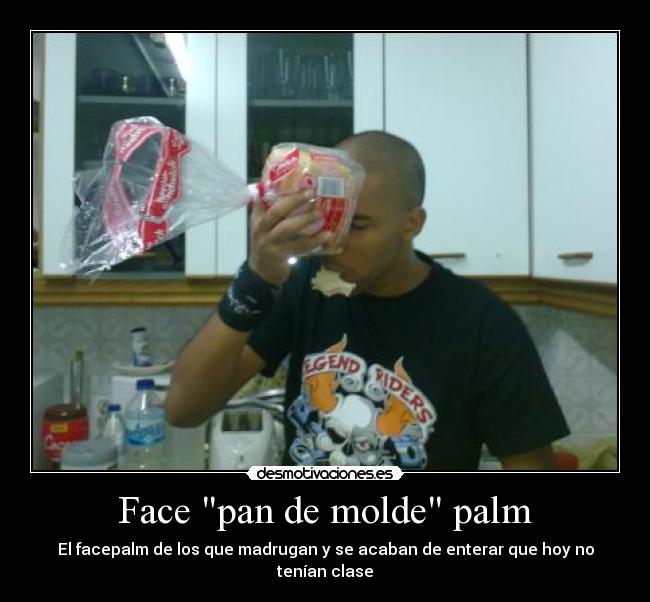Face pan de molde palm -