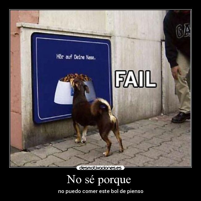 No sé porque - no puedo comer este bol de pienso