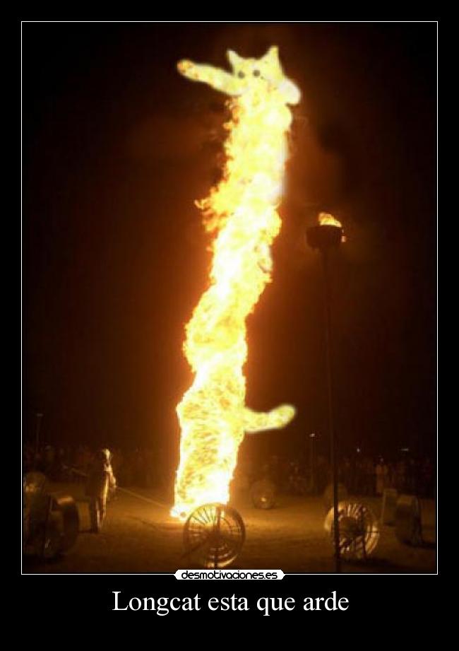 Longcat esta que arde -