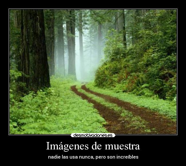 carteles imagenes muestra increibles desmotivaciones