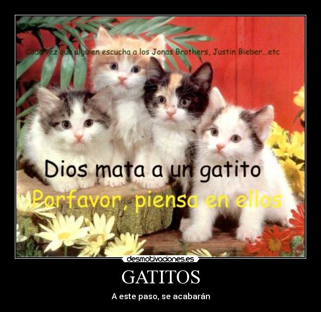 GATITOS -
