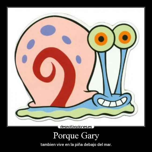 Porque Gary - tambien vive en la piña debajo del mar.