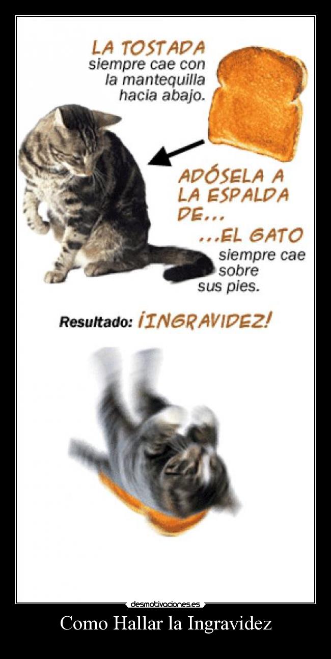 carteles gatospedo fuck yea fail chuck norris paz unos los las desmotivacion muajajaja desmotivaciones