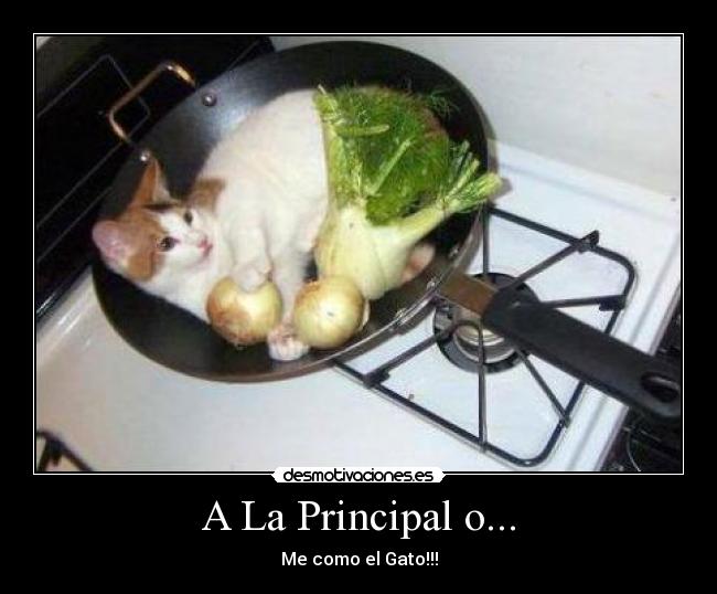 A La Principal o... -