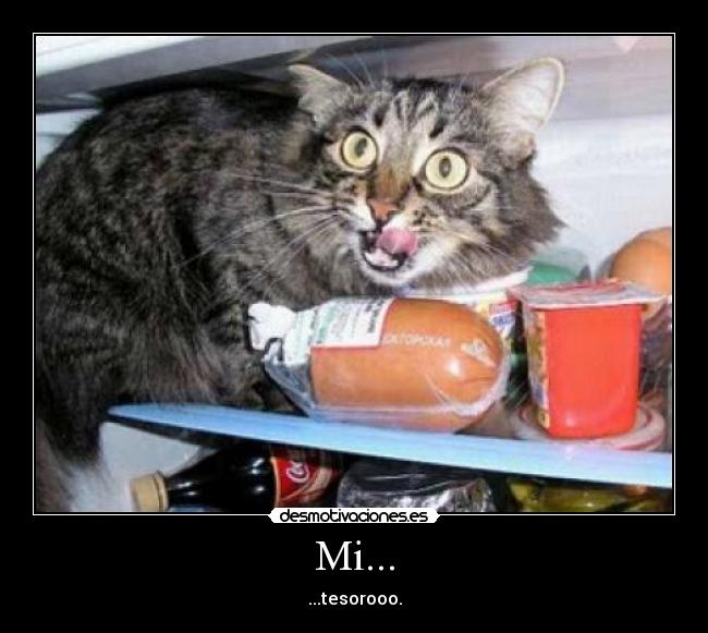 Mi... - ...tesorooo.