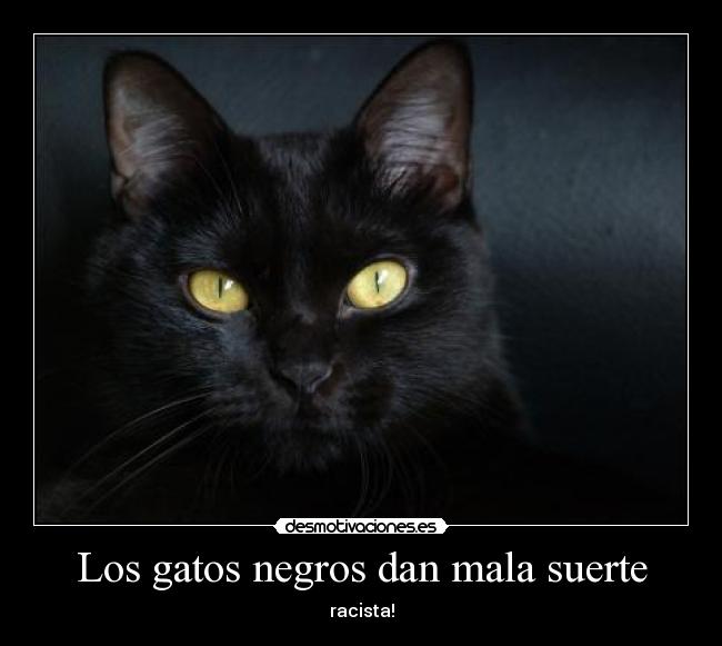 Los gatos negros dan mala suerte - racista!
