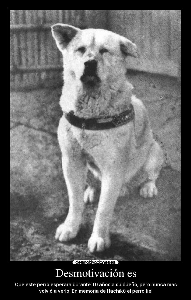 Desmotivación es - Que este perro esperara durante 10 años a su dueño, pero nunca más
volvió a verlo. En memoria de Hachikō el perro fiel