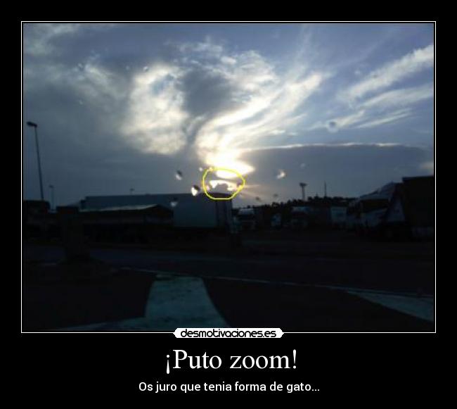 ¡Puto zoom! - Os juro que tenia forma de gato...