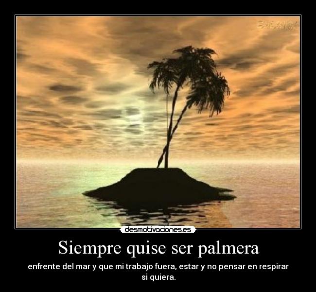carteles siempre quise ser palmera desmotivaciones