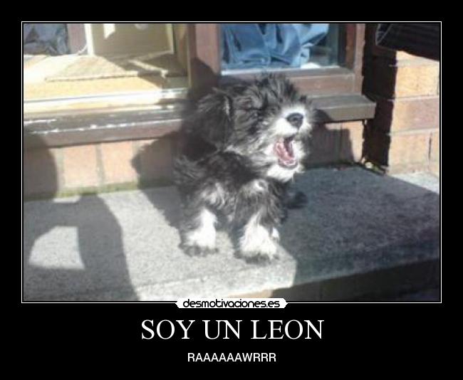 SOY UN LEON - RAAAAAAWRRR