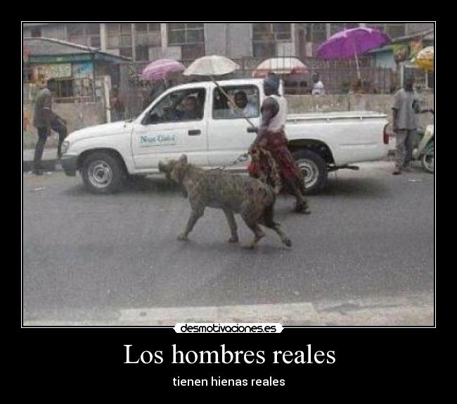 Los hombres reales - tienen hienas reales