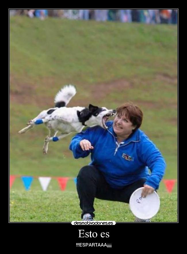 Esto es - !!!ESPARTAAA¡¡¡¡