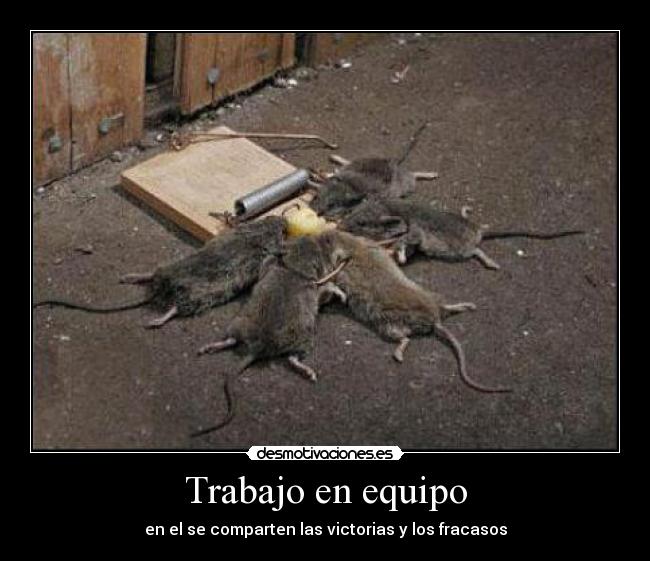 Trabajo en equipo - en el se comparten las victorias y los fracasos