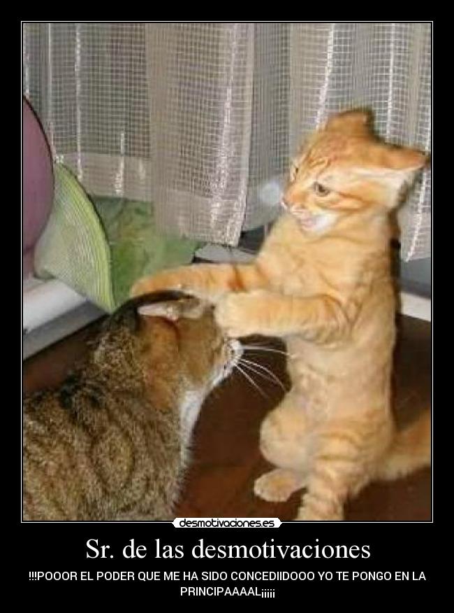 Sr. de las desmotivaciones - 