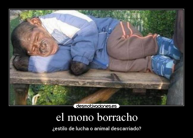 el mono borracho - ¿estilo de lucha o animal descarriado?