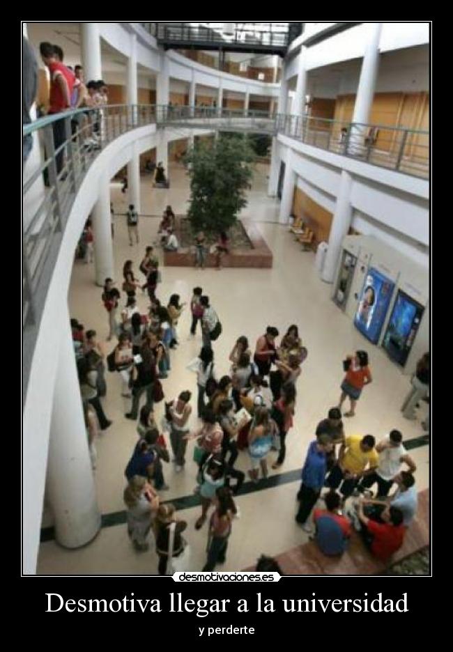 carteles desmotiva llegar universidad desmotivaciones