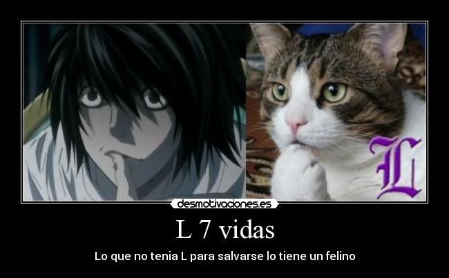 carteles anime animales desmotivaciones