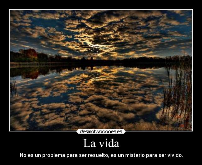 carteles vida vida desmotivaciones